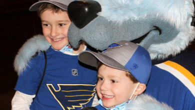 Title: Sponsorship Companies: Key Insights And Trends